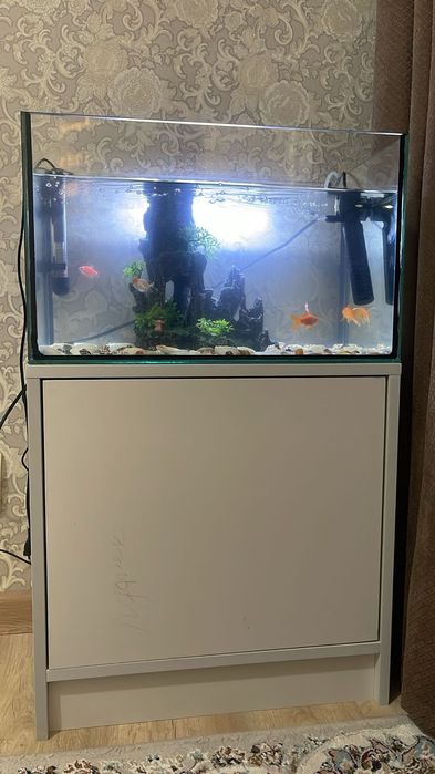 Сатылады 6 балыгымен тумбасымен