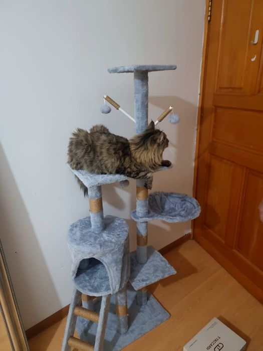 Домик для кошек размер 138х48