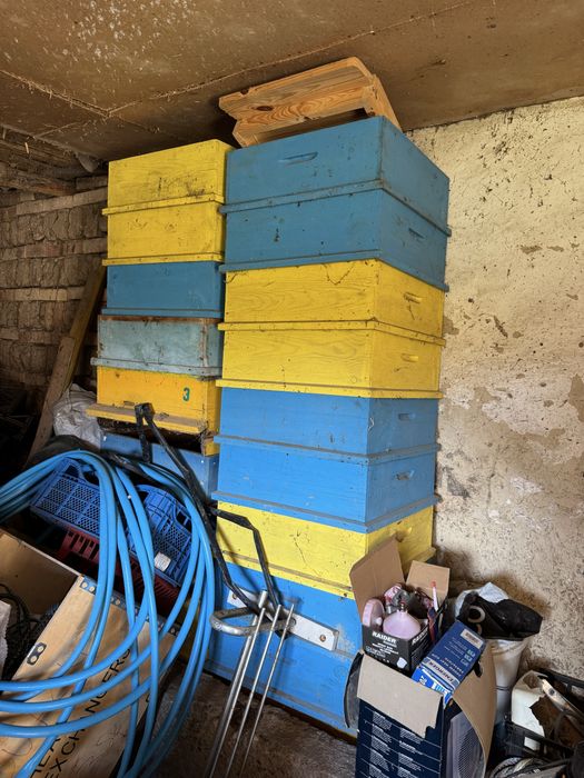 Кошери за пчели ЗДРАВИ