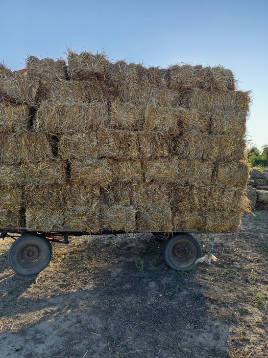 Vând baloți paie