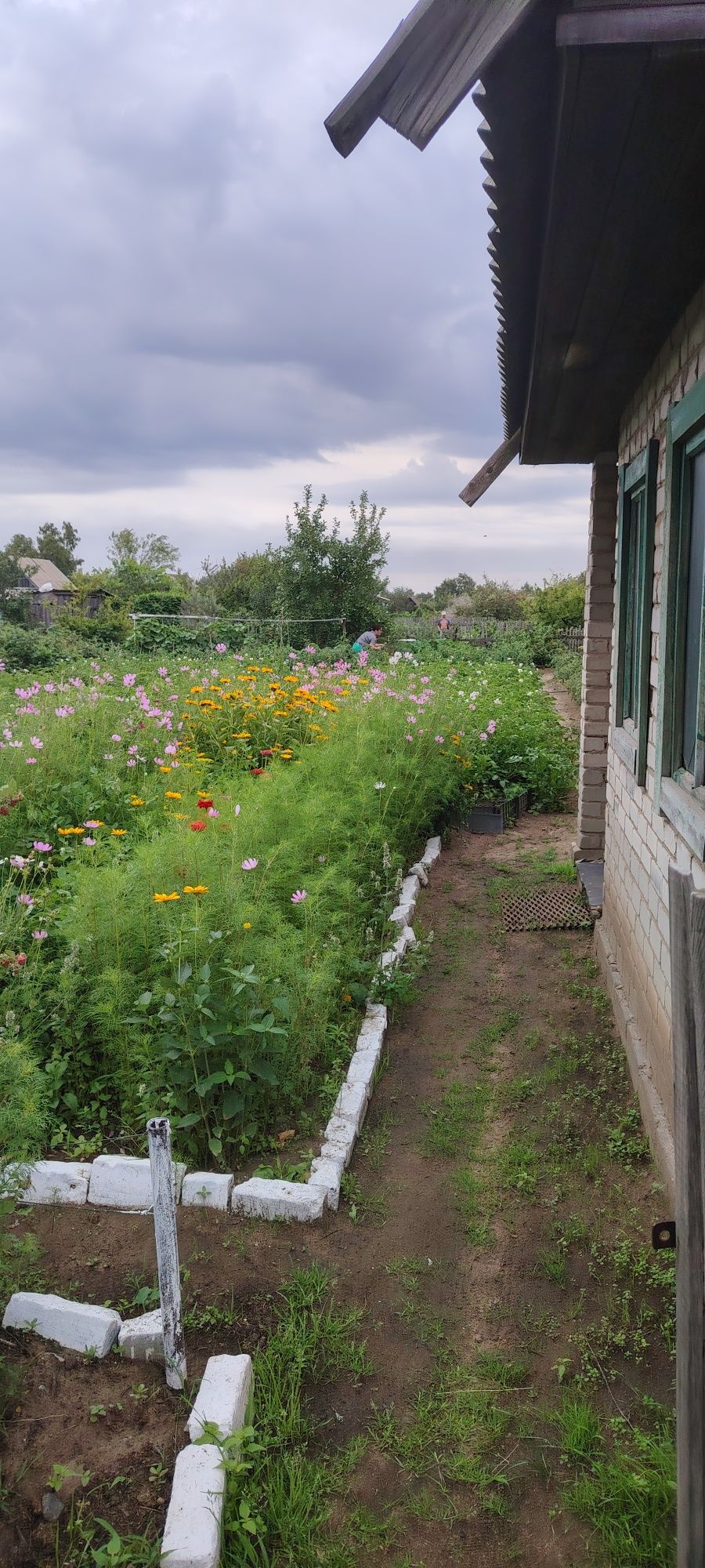 Продам дачу садовоства яблоневая