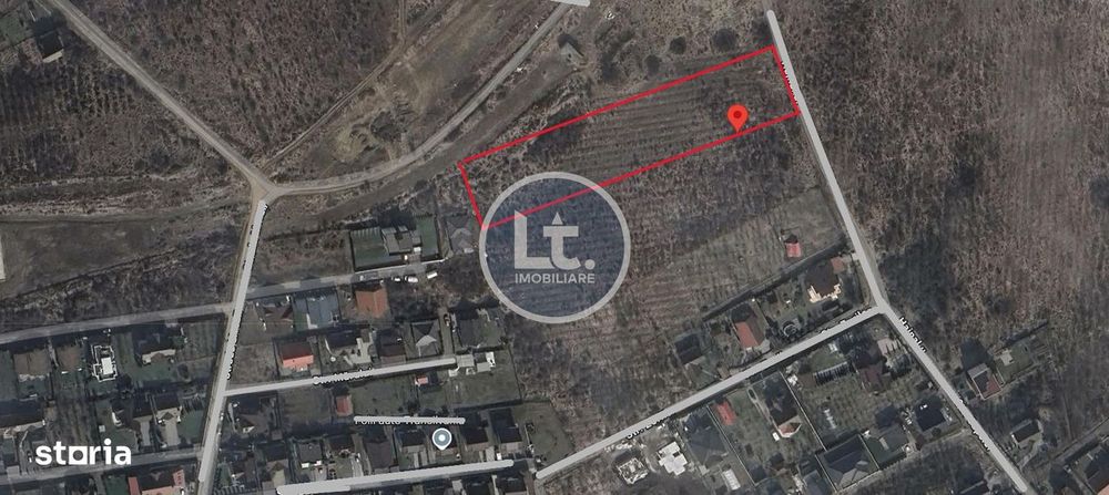 Teren DE VANZARE Livezeni