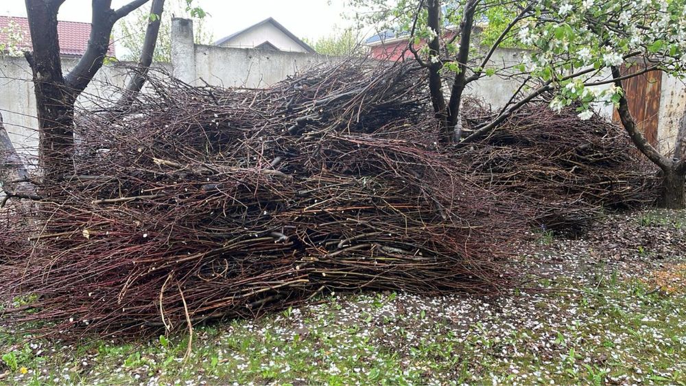 Хворост, дрова для растопки и розжига