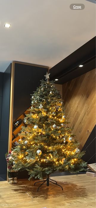 Коледна елха голяма