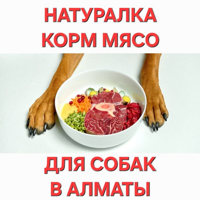 Для собак корм мясо лакомства в Алматы - Shera