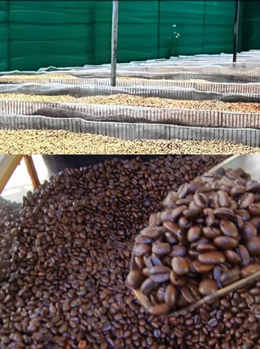 Продаётся кофе Лювак