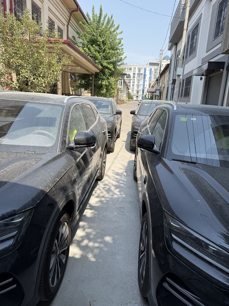 Byd chempion smart 2026
