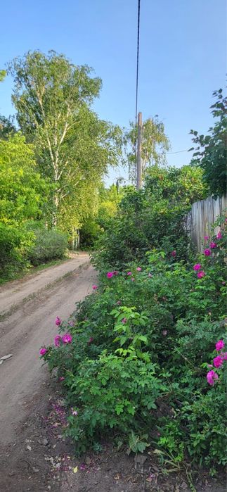 Дача на федоровке