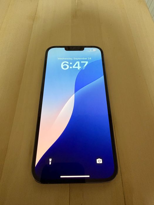 iPhone 13 Pro Max 256Gb