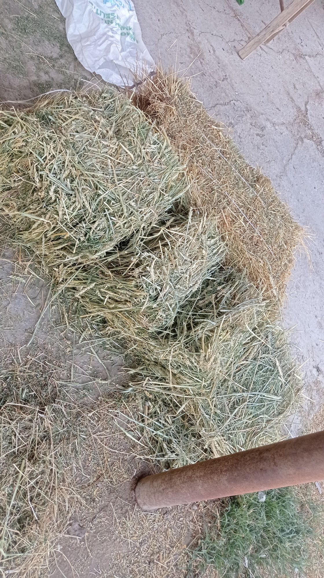 Beda pres sotiladi kattaligi 1.mt  katta katta massali