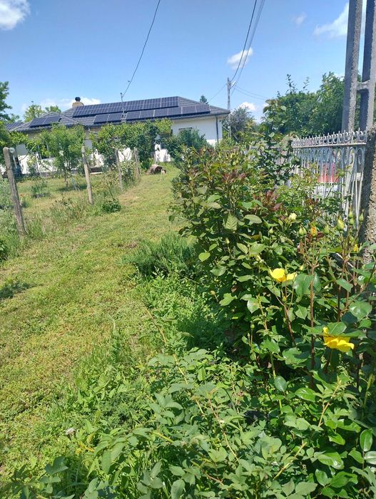 Vand casa  cu panouri fotovoltaice montate ,in sat Balta Alba ,Buzau