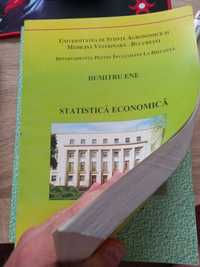 Manual statistica economica Dumitru Ene