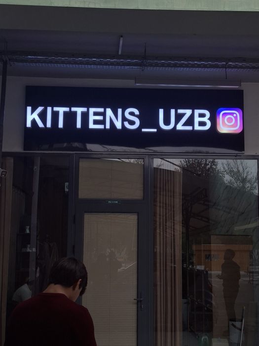 Reklama Xizmati Bukva Banner Orakal