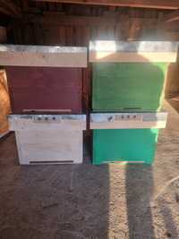 Cuti pentru familii albine