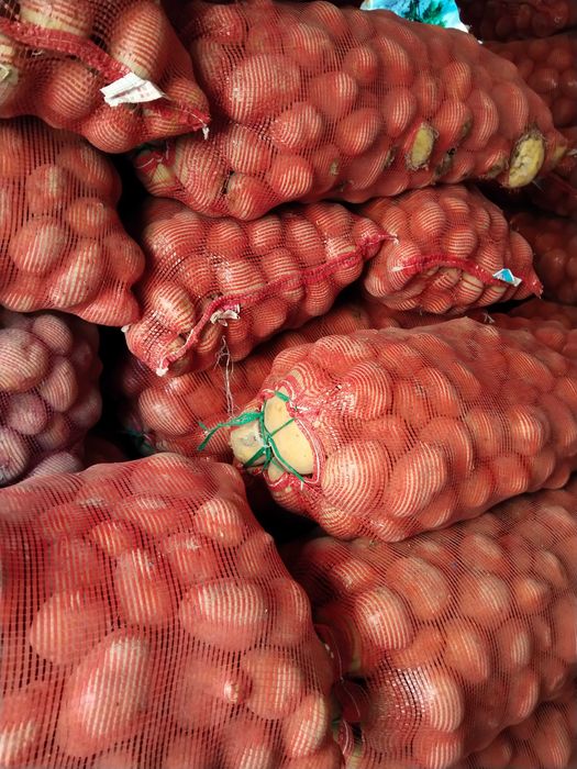 Картошка Нарынкольская высшего качество