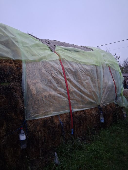 Baloți de fân 300 bucăți