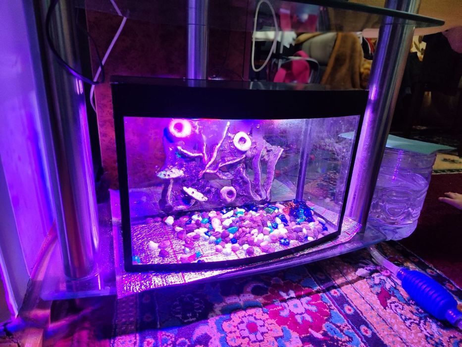 Akvarium sotiladi holati yaxwi . Hamma joyi butun ishlatishga yaroqli