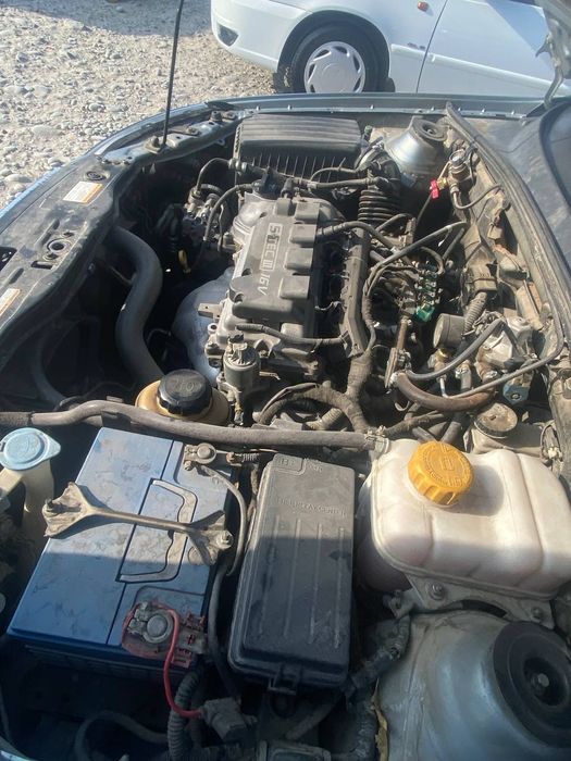 Jentira sotiladi aftamat