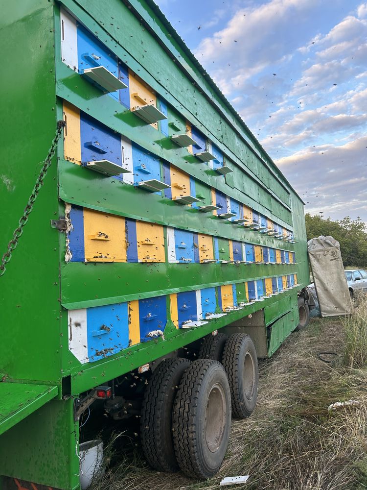 Продам пчелопавильион