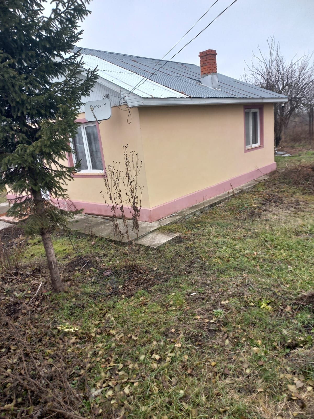 Vând casă 60 mp în Siret Prut