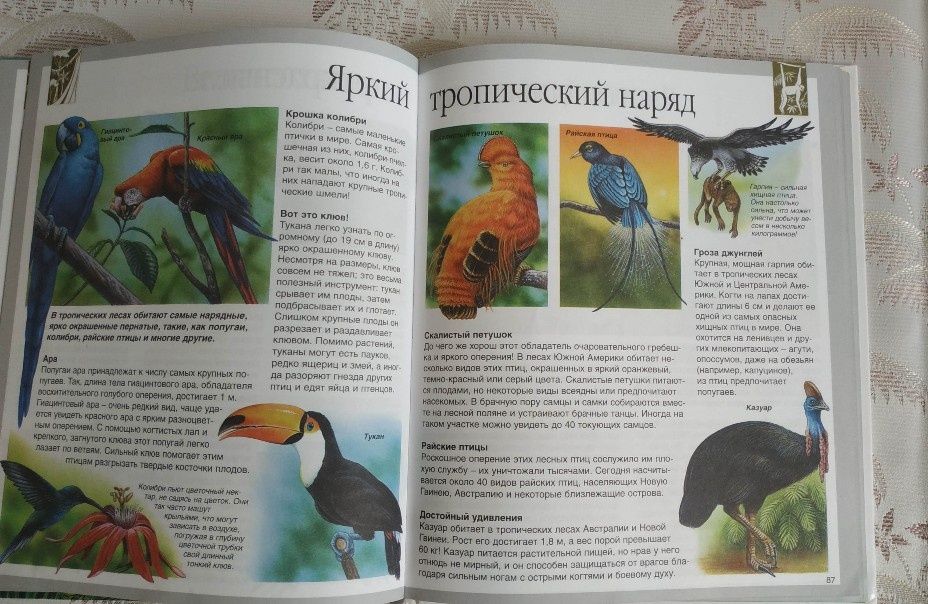 Две книги из Москвы за 150 тыс.( Обе вместе)