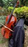 De vânzare Violoncel