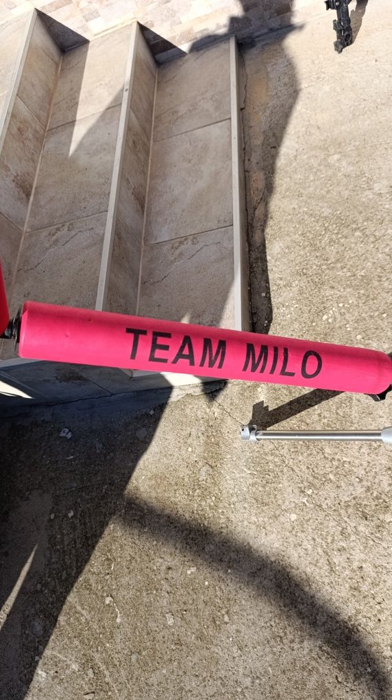 Team Milo ролер за щека