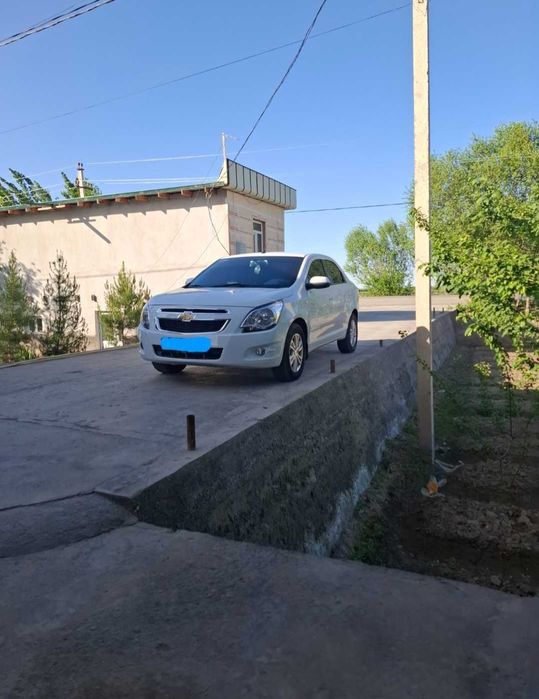 Cobalt 2025 gx style full navorot