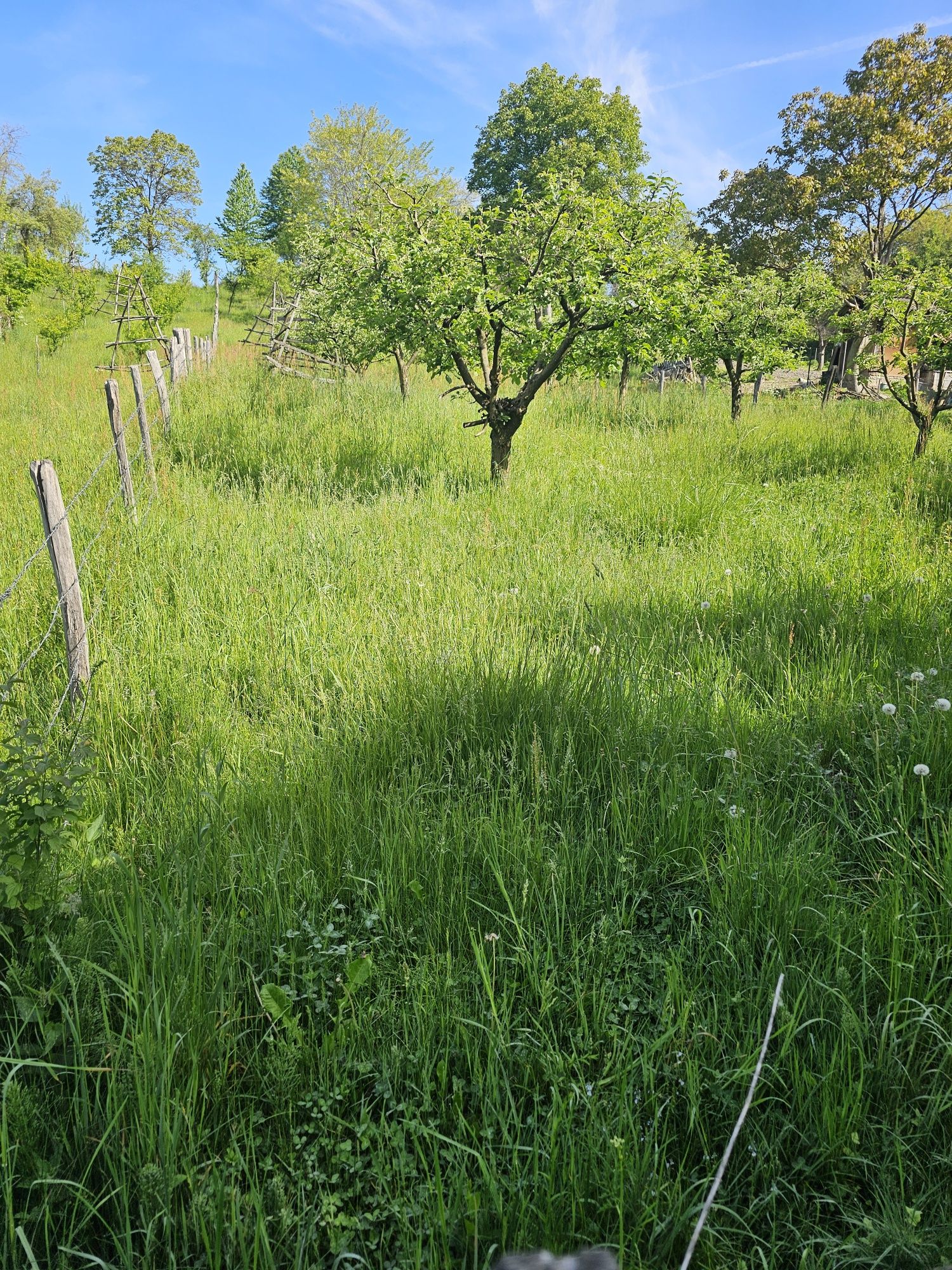 Teren intravilan zonă Musatesti, jud Arges