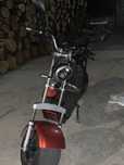 Scuetr electric city coco harley