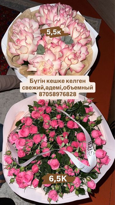 Бугин кешке келген свежый