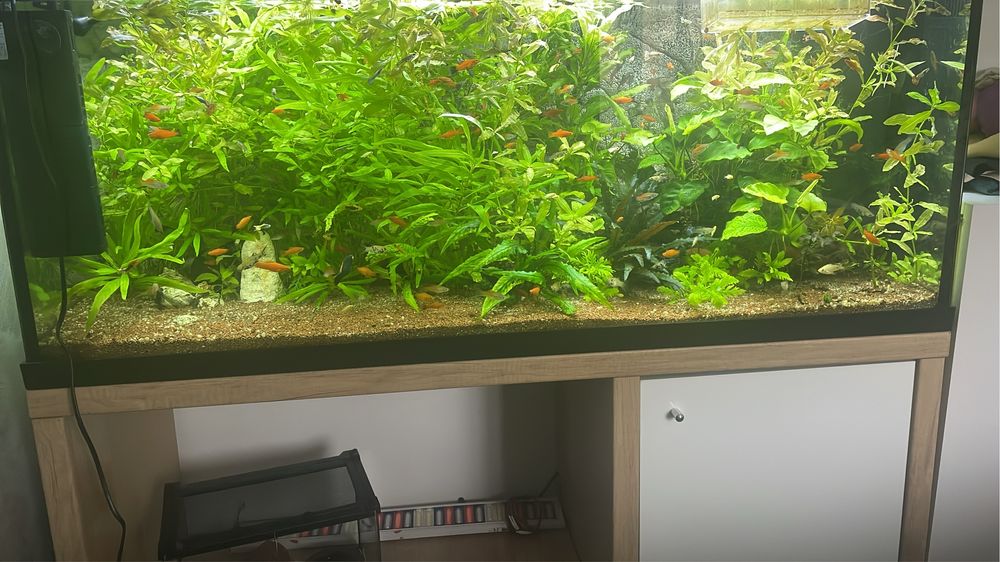 Vand acvariu de 240 l