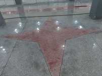 Мазайка стяжка Вертолёт  топпинг