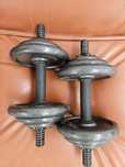 Vand gantere 2x10 kg ajustabile