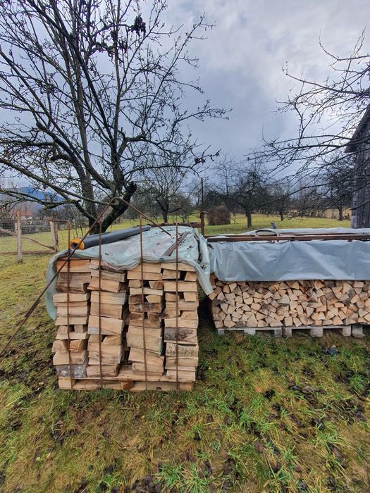 Lemne foc esența tare Fag