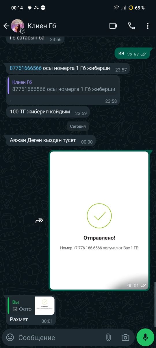 Билайн гигабайттары