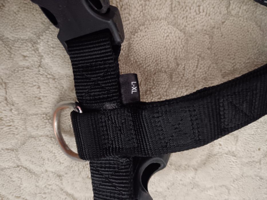 Lesa și ham pentru câini