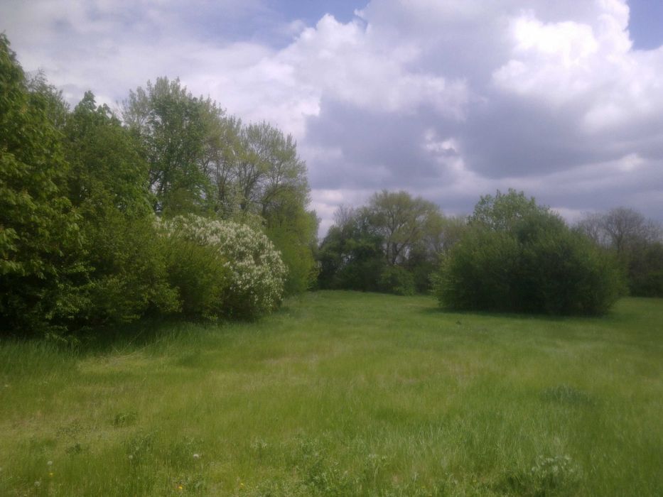 Продава се Парцел в Добрич, Добротица - Варненска - 11000 кв.м за 6 €/кв.м - Снимка #13