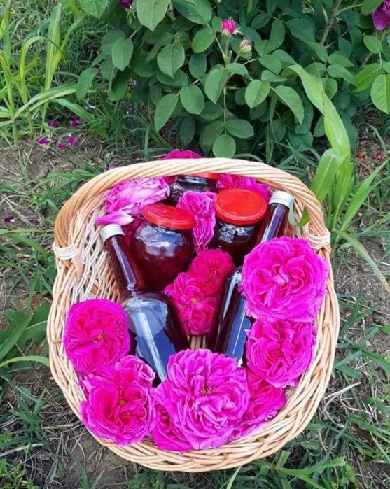 Sirop și dulceață de trandafiri – 100% naturali, preparați acasă!