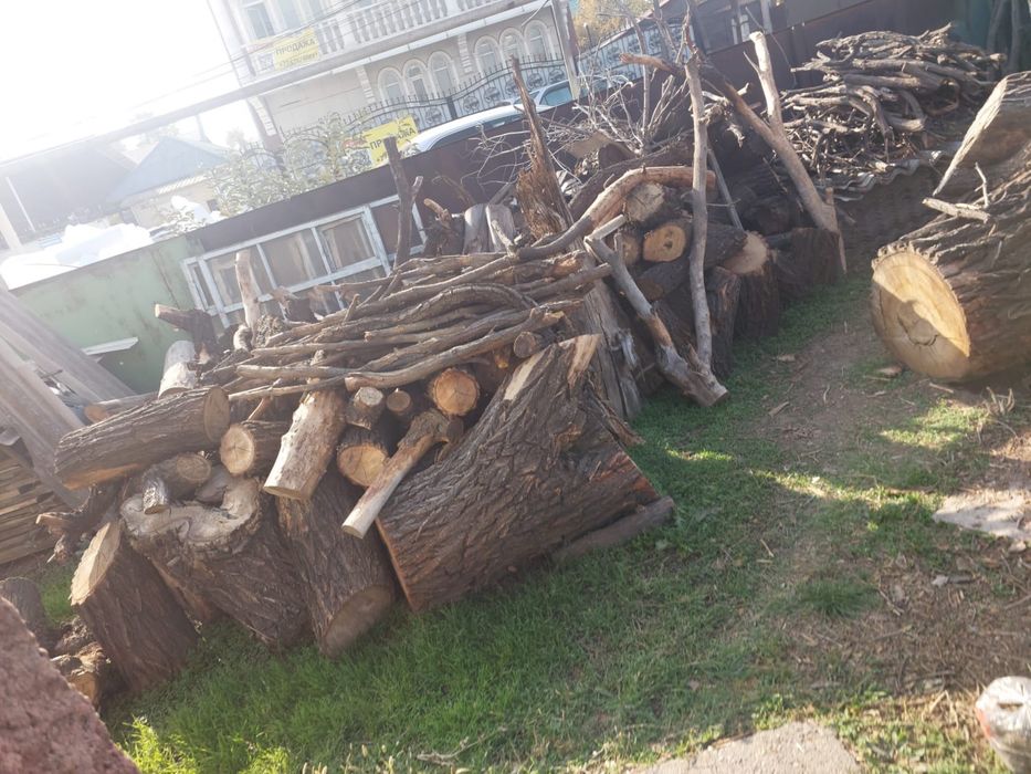 Продаю карагач на дрова