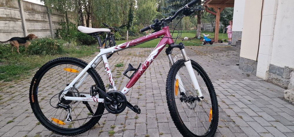 Bicicleta Scott Contessa