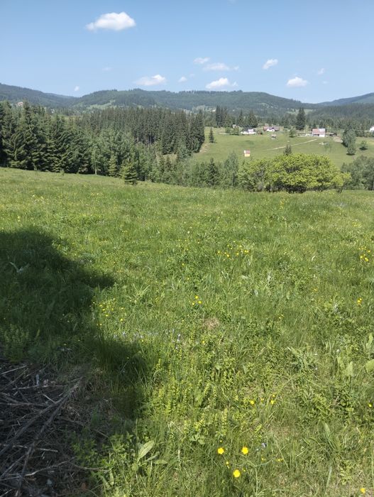 Teren de vanzare