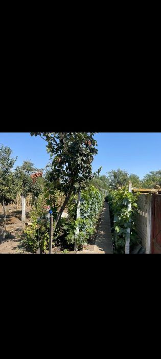 Casă de vânzare în comuna Amărăștii de Jos, jud. Dolj