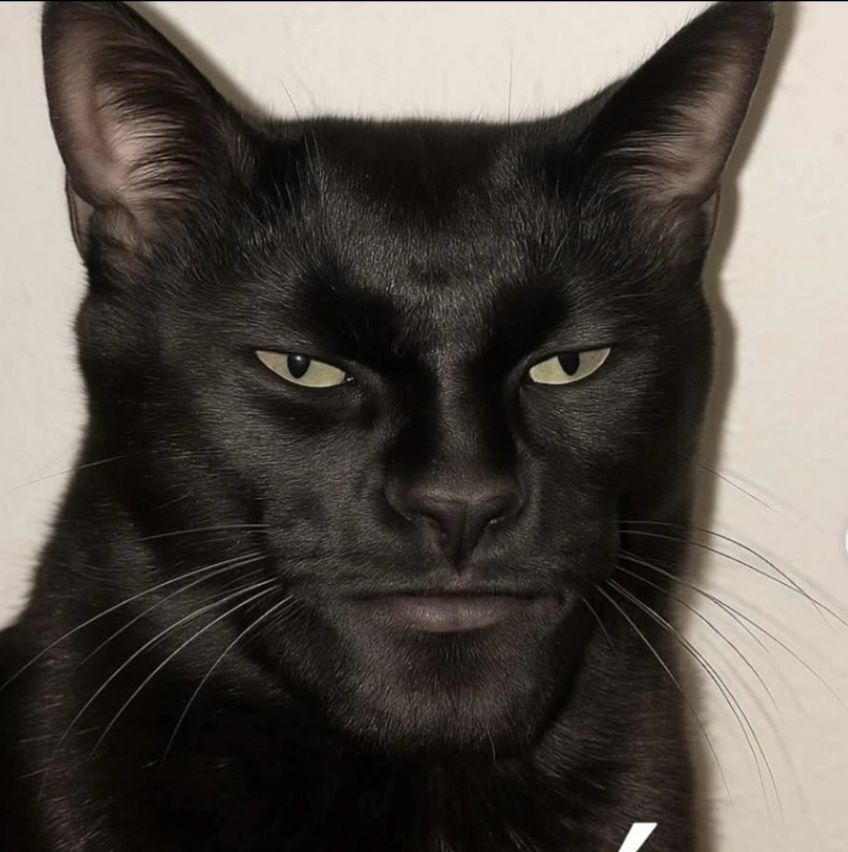 Котёнок / Uy mushukcha