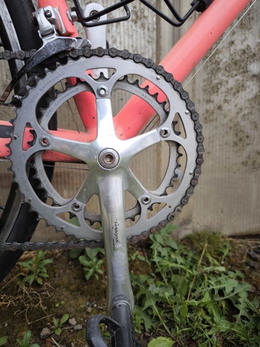 Cursiera Decathlon Bisiaux