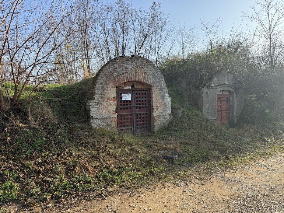 Vând pivniță în zona Sacueni