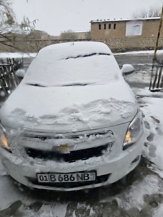 Cobalt AT 2023 + prapan 4-p