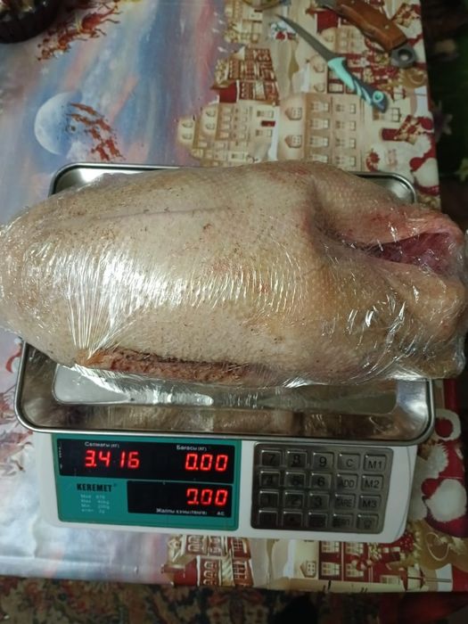 Продам мясо гуся