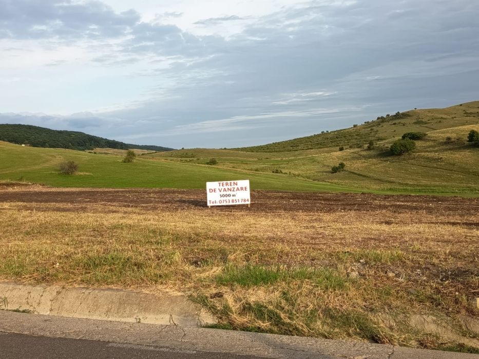 Teren construibil intravilan 5.000 mp - Piatra Neamț