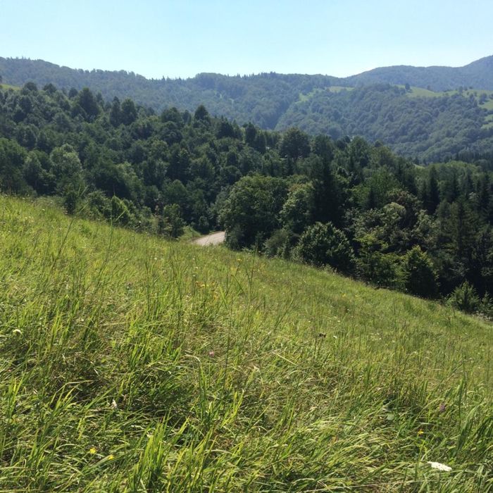 Vand teren, zona baraj Bicaz, Potoci